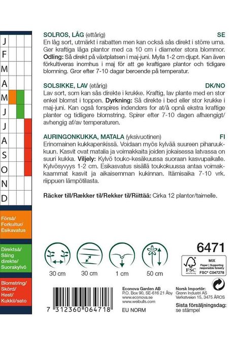 Solsikke 'Sunspot'